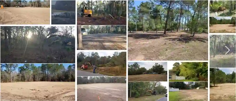 Collection of completed land clearing projects in Central Florida